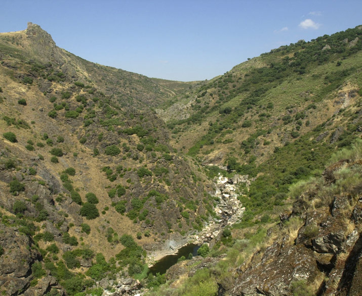 080-fi489654