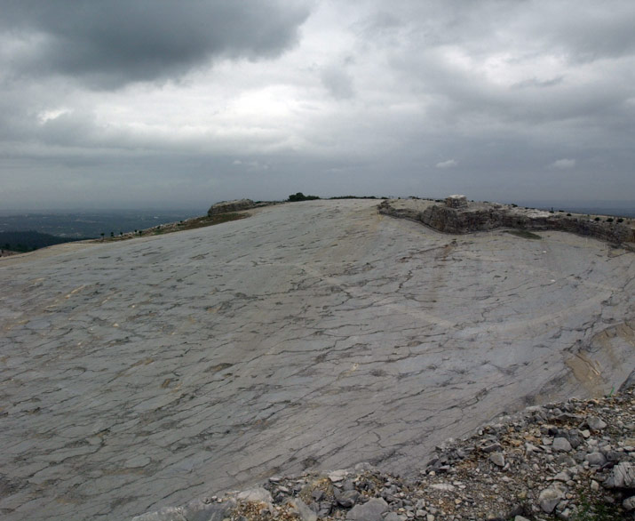 319-fi524264